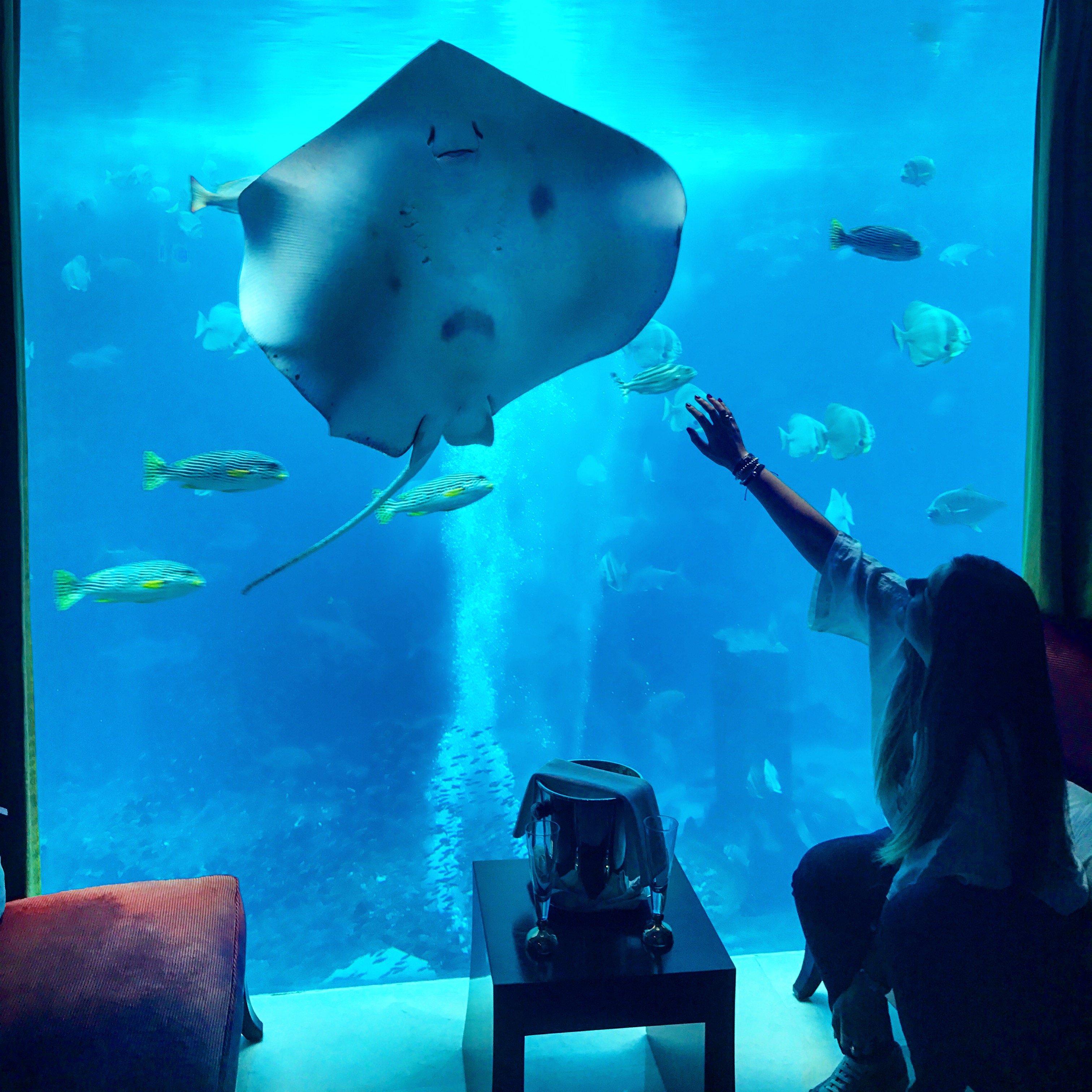 Atlantis Suite: An Underwater Experience